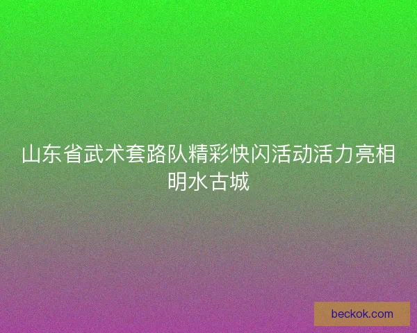 山东省武术套路队精彩快闪活动活力亮相明水古城